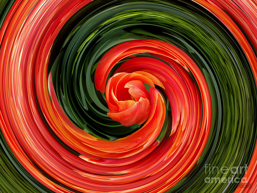 Tulip Digital Art - Red Tulip by Hanza Turgul