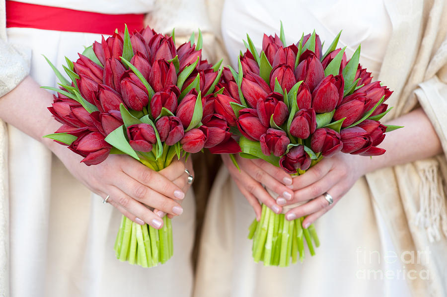 Red Tulip Weddding Bouquets Photograph by Lee Avison