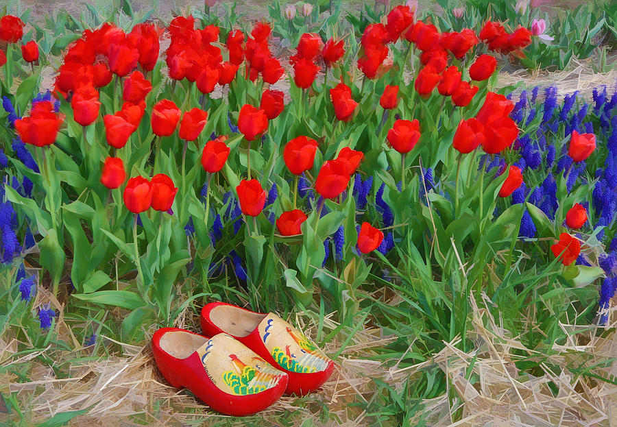 Red Tulips and wooden shoes Photograph by Jack Nevitt
