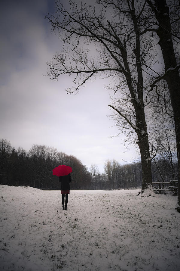 Red umbrella and snow Photograph by Maria Heyens | Fine Art America