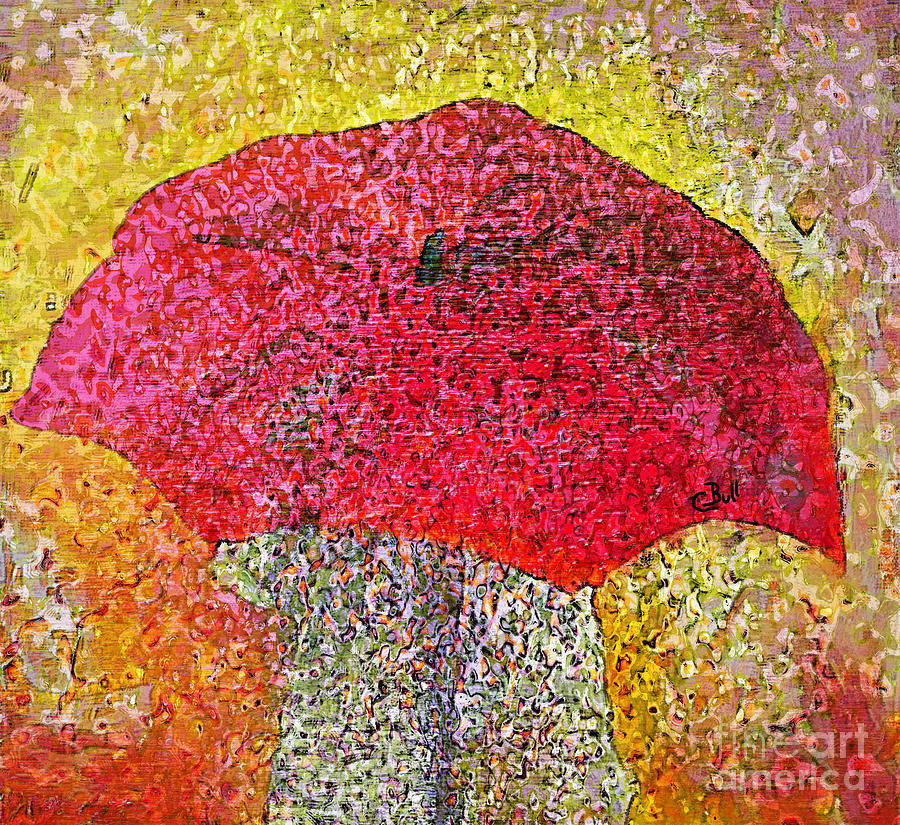 Red Umbrella Photograph by Claire Bull