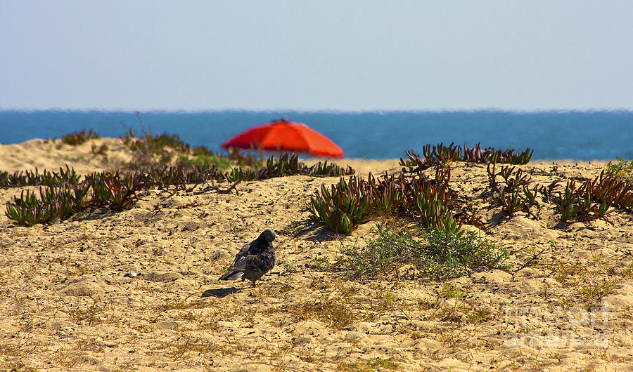 Red Umbrella On Sandy Beach Blue Ocean Photograph by Jerry Cowart