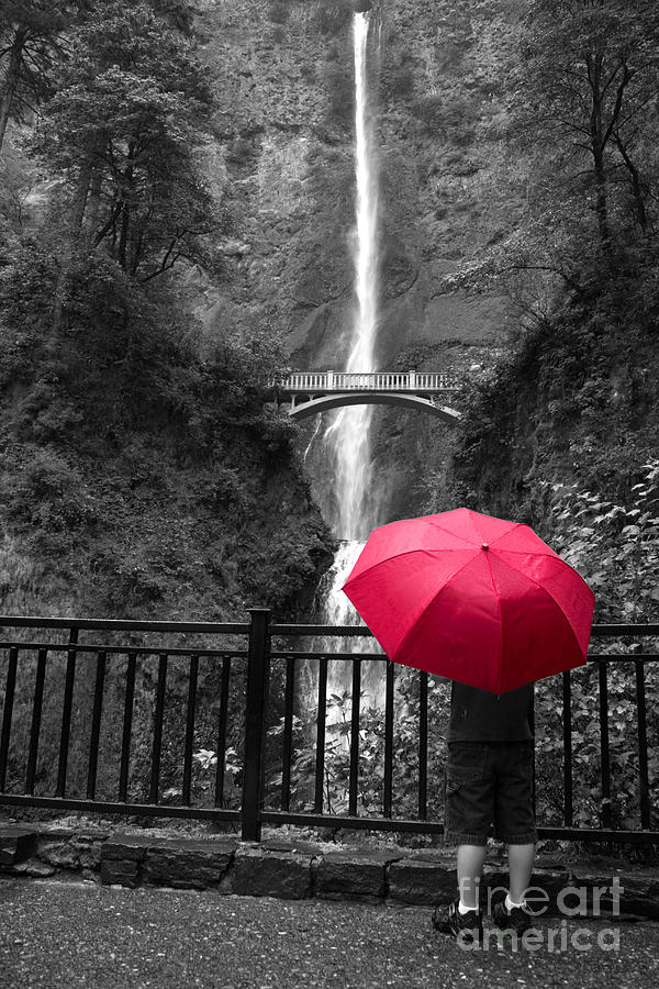 Tree Photograph - Red Umbrella by Tina Miller
