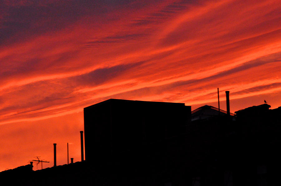 Sunset Photograph - Red Urban Sky by Diane Lent