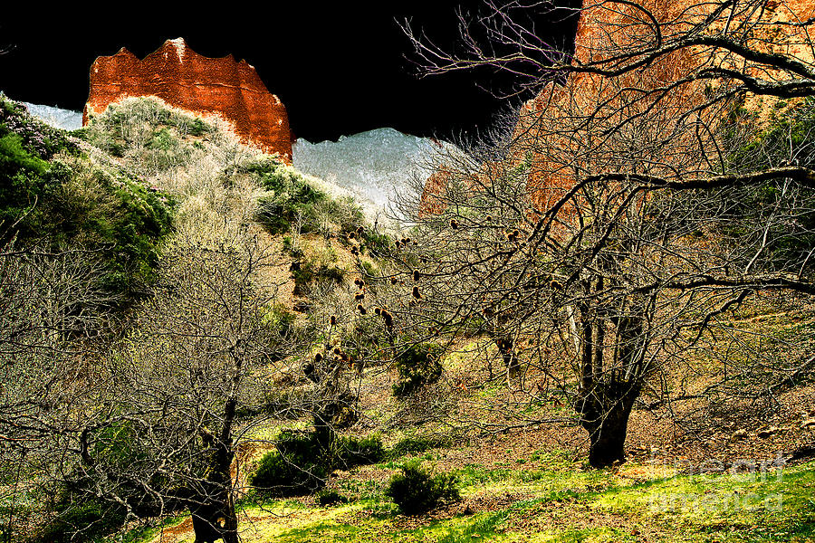 Tree Digital Art - Red Valley by Rudi Prott