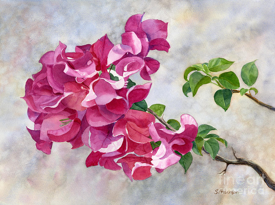 Flower Painting - Red Violet Bougainvillea with Textured Background by Sharon Freeman