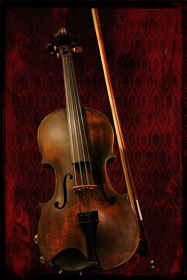 Red Violin Photograph