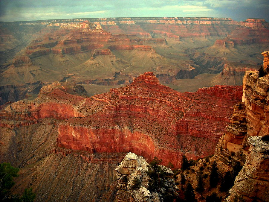 Grand Canyon National Park Photograph - Red Vista by J Allen