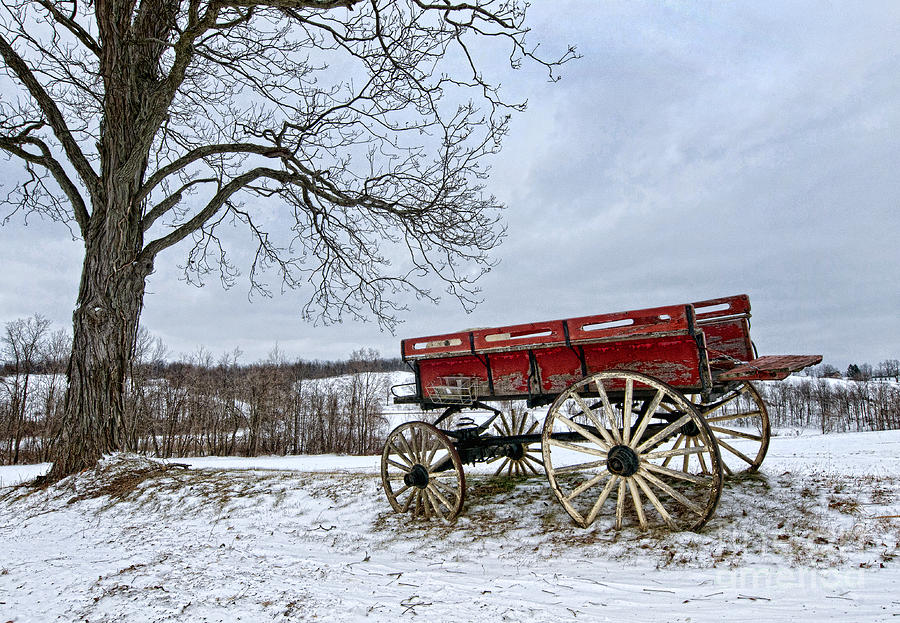 Red Wagon Photograph by Claudia Kuhn | Fine Art America