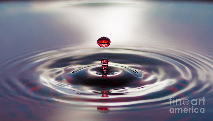 Red water droplets Photograph by Phillip Rubino