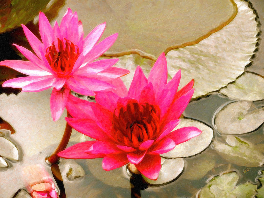 Red Water Lilies Painting by Dean Wittle