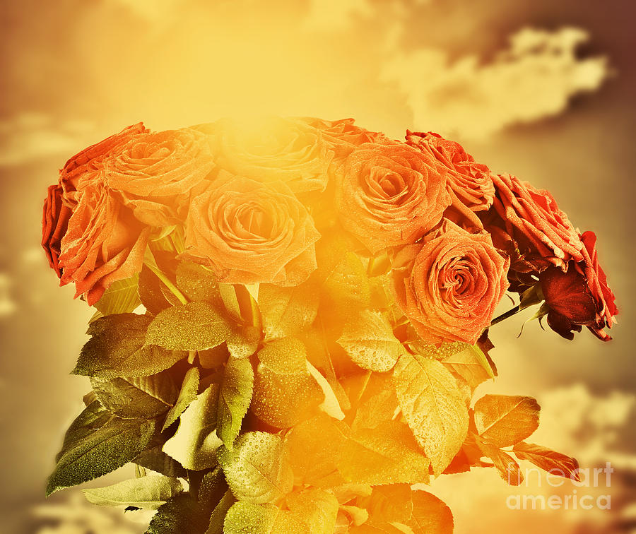 Rose Photograph - Red wet roses flowers bouquet on sky background by Michal Bednarek