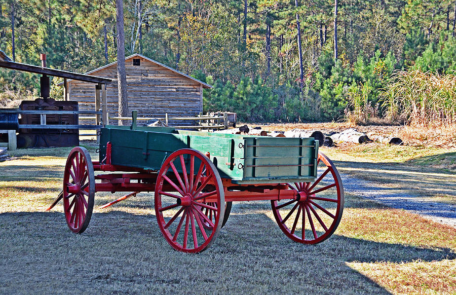 Red-Wheeled Wagon Photograph by Linda Brown