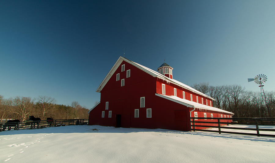Red white and blue at the farm Photograph by Haren Images- Kriss Haren