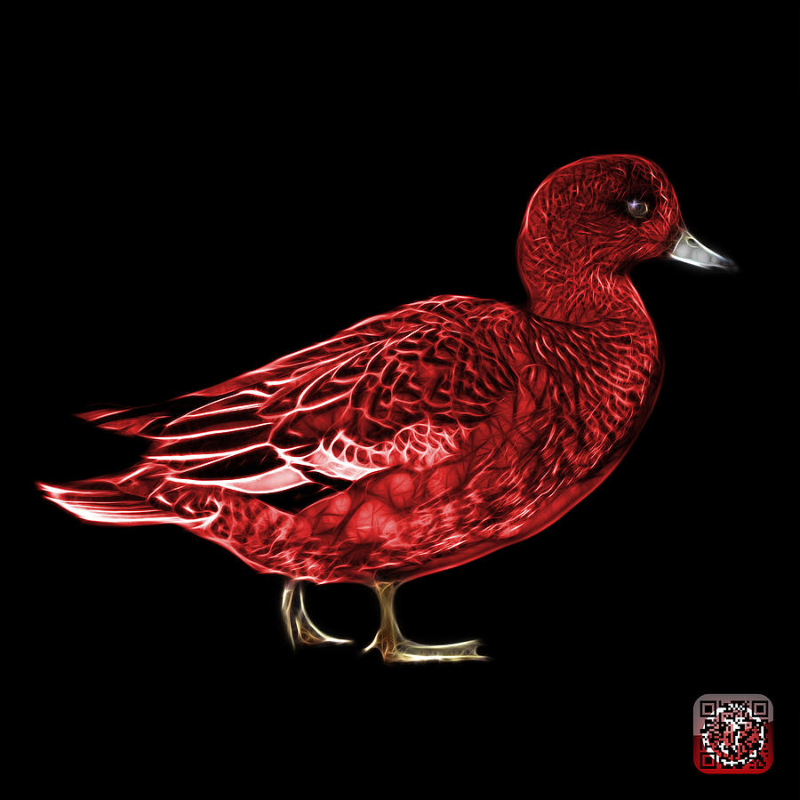 Red Wigeon Art - 7415 - BB Mixed Media by James Ahn