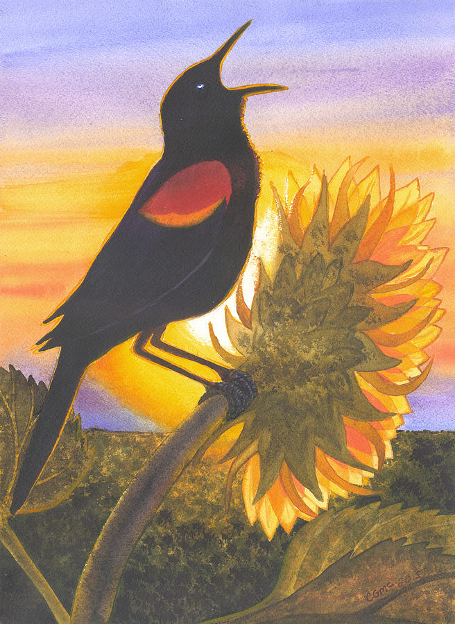 Red-wing Blackbird Painting by Catherine G McElroy