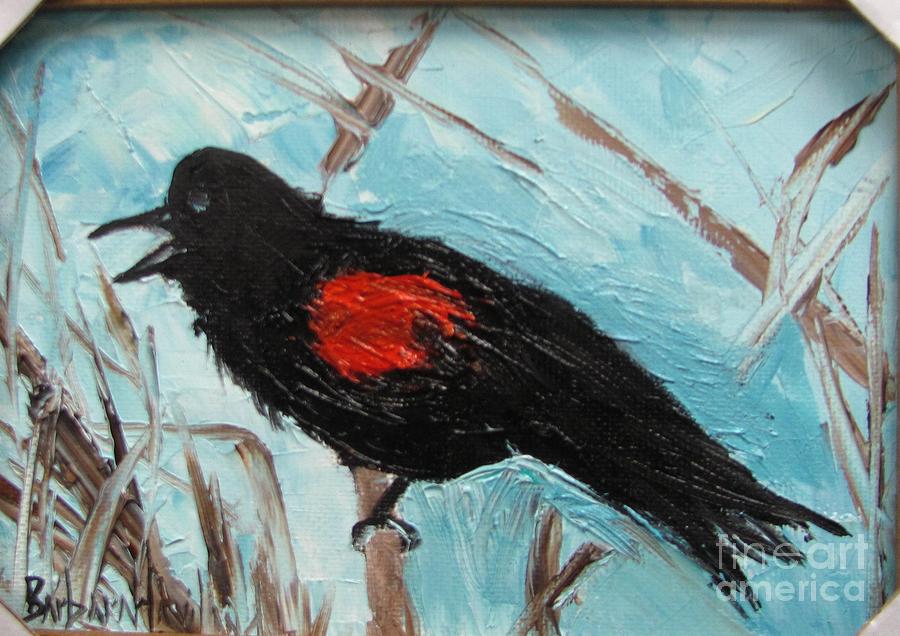 Red-Winged Blackbird Painting by Barbara Haviland