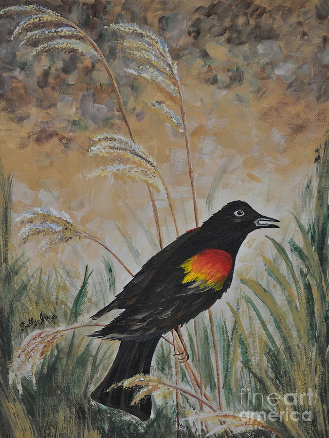 Blackbird Painting - Red Winged Blackbird by Sally Tiska Rice