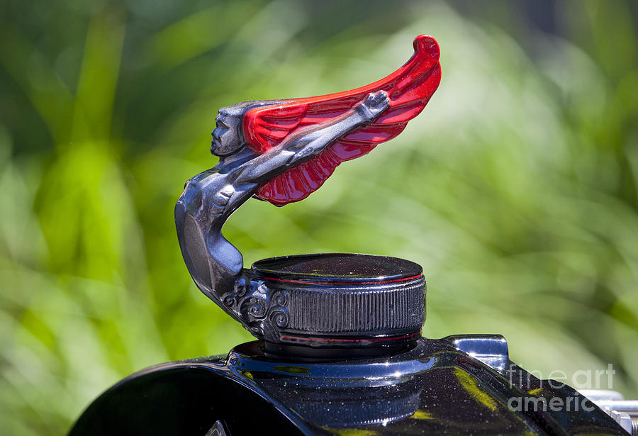 Red Wings Hood Ornament Photograph by Chris Dutton