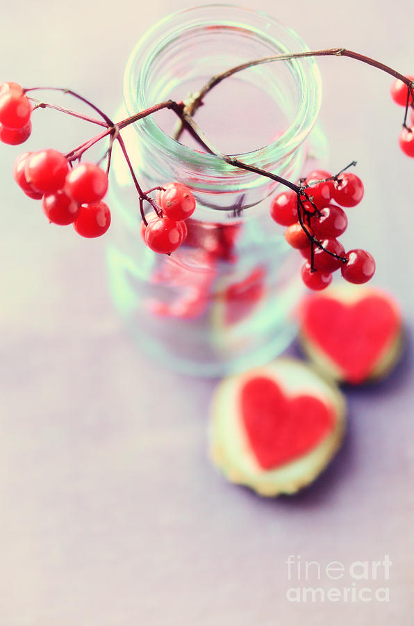 Red Winter Berries Photograph by Sabine Jacobs