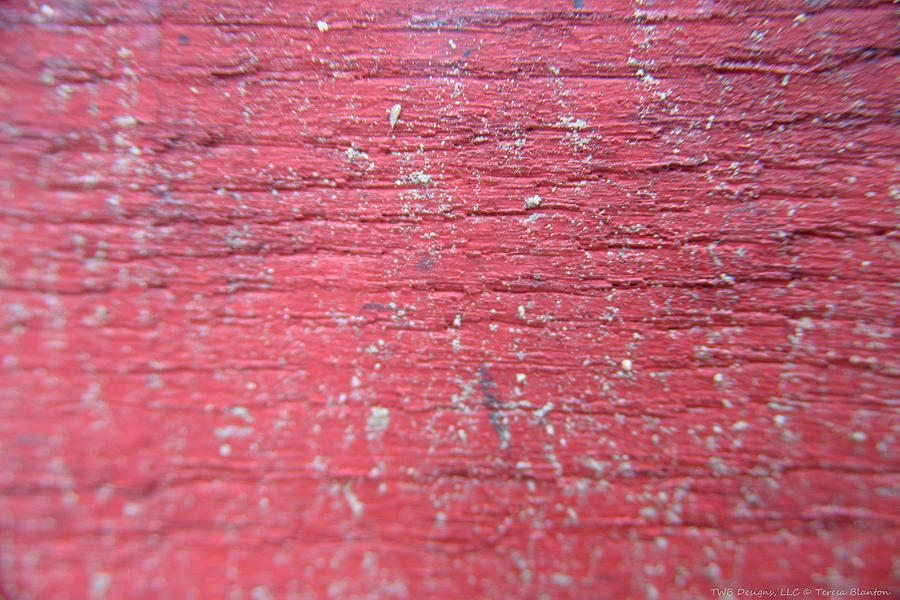 Red With Texture Photograph by Teresa Blanton