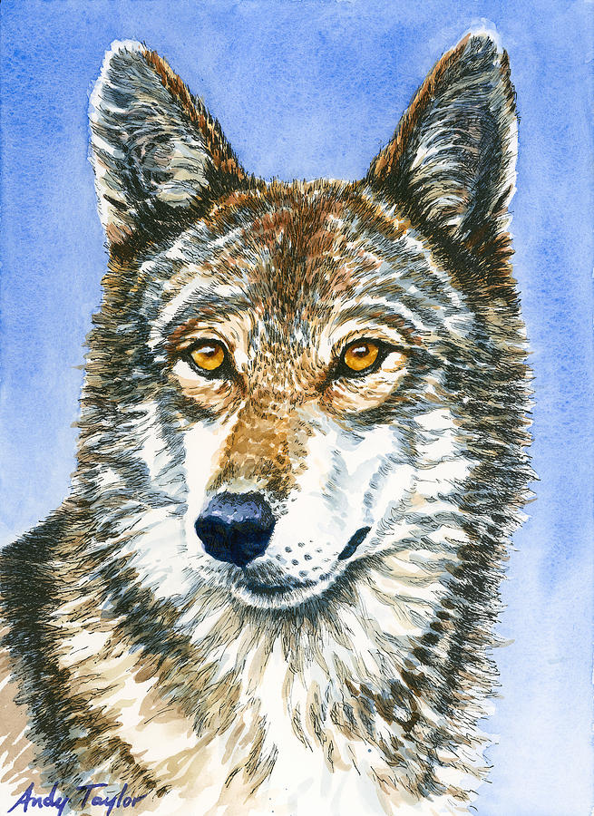 Red Wolf Painting by Andy Taylor - Fine Art America