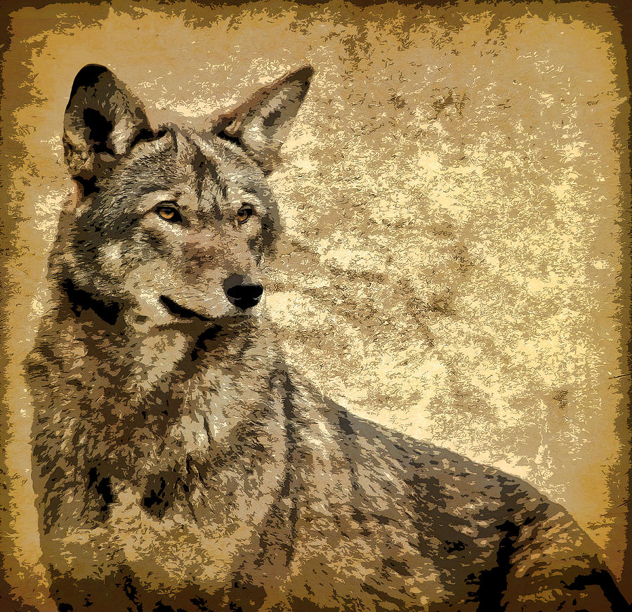 Red Wolf Stature Photograph by Athena Mckinzie