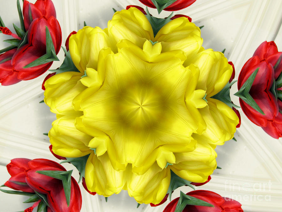 Red Yellow and White Tulips Kaleidoscope Photograph by Rose Santuci-Sofranko