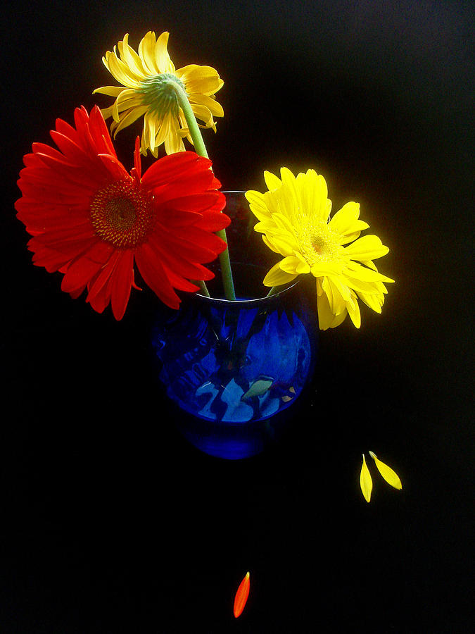 Primary Colors Photograph - Red Yellow Blue by Susan Duda