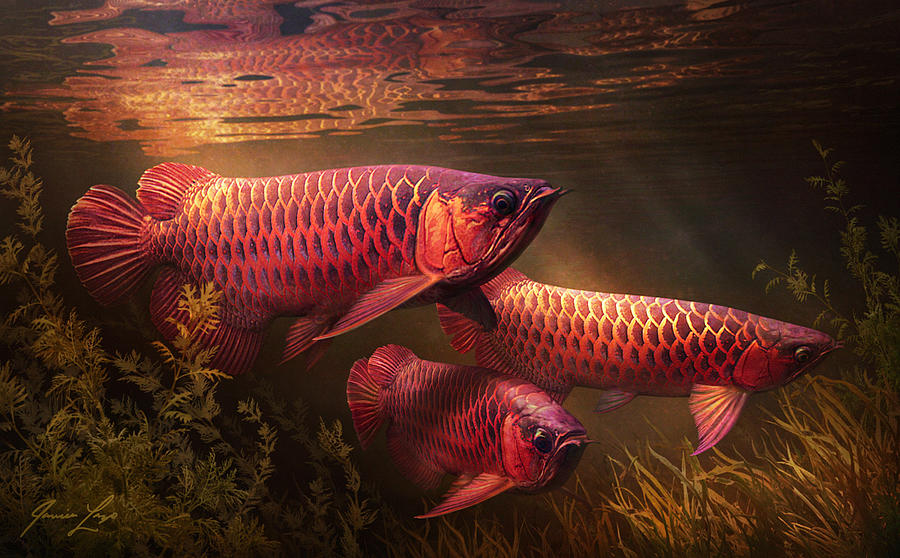 Fish Digital Art - Red_Alignment by Javier Lazo