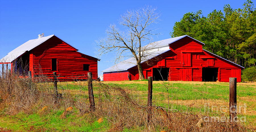 RedBarn by Cynthia Mask RedBarn by Cynthia Mask
