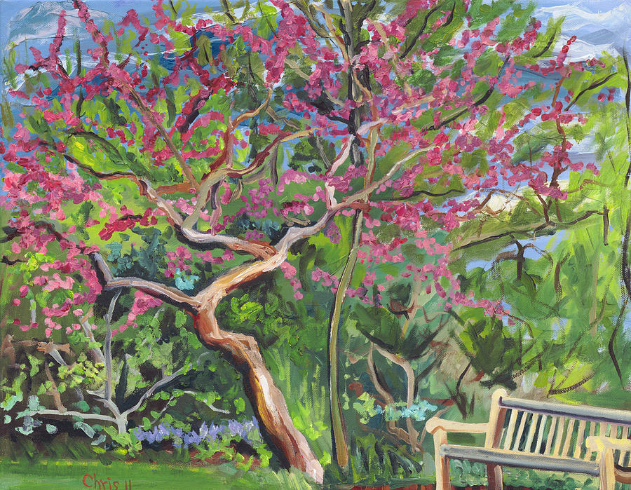 Spring Painting - Redbud and Bench by Christina Plichta