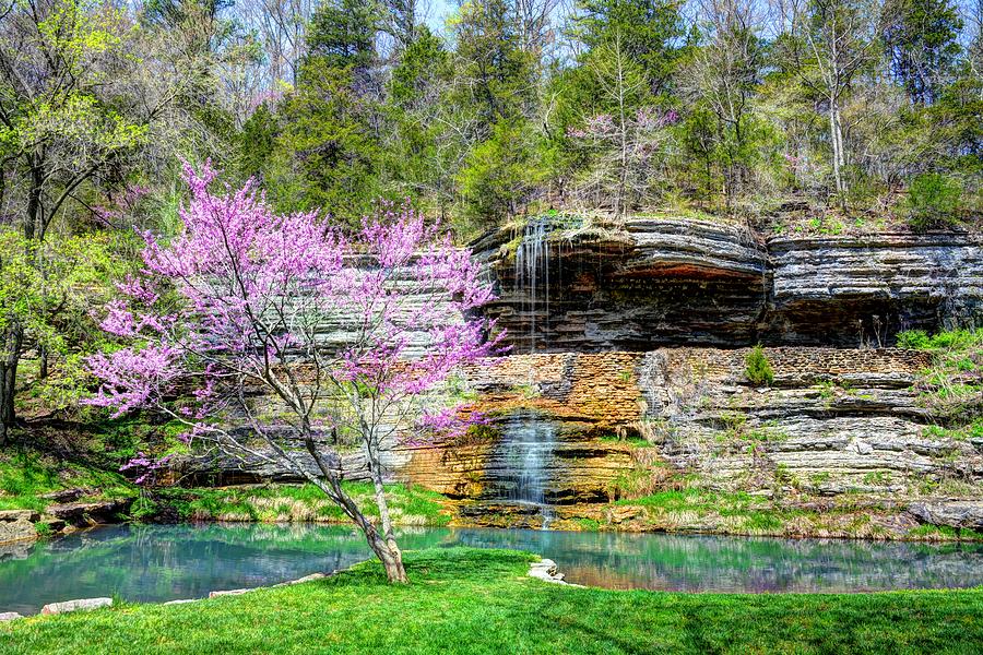 Redbud and Waterfall Photograph by Jean Hutchison