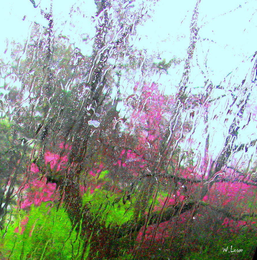Redbud Trees Photograph by Wendell Lowe