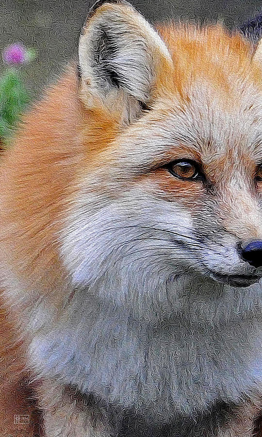 Redd Foxx Digital Art by Jim Pavelle