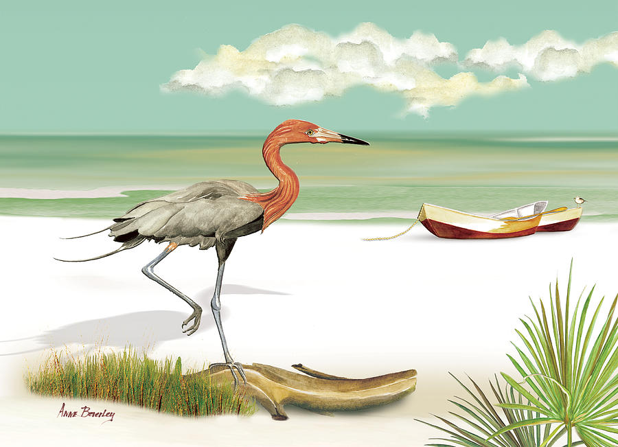 Reddish Egret Painting by Anne Beverley-Stamps