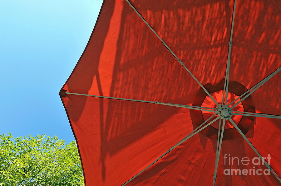 Reddish umbrella against blue sky Photograph by Sami Sarkis Photography