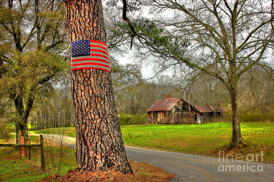American Flag on the Redneck Flag Pole Photograph by Reid Callaway