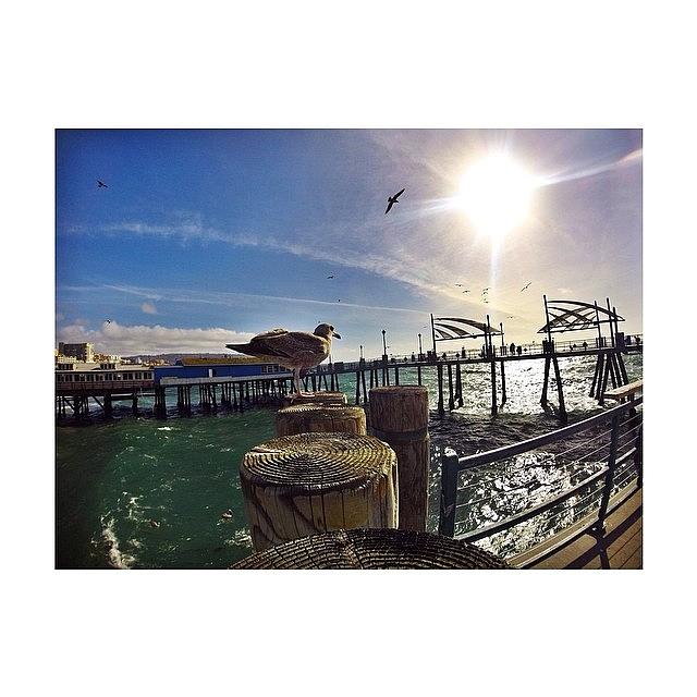 Redondo | Pier 🌊 Photograph by Derrick Hamilton