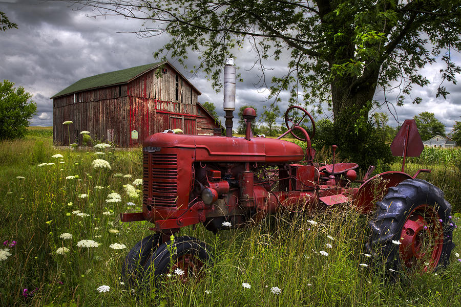 Barn Photograph - Reds in the Pasture by Debra and Dave Vanderlaan