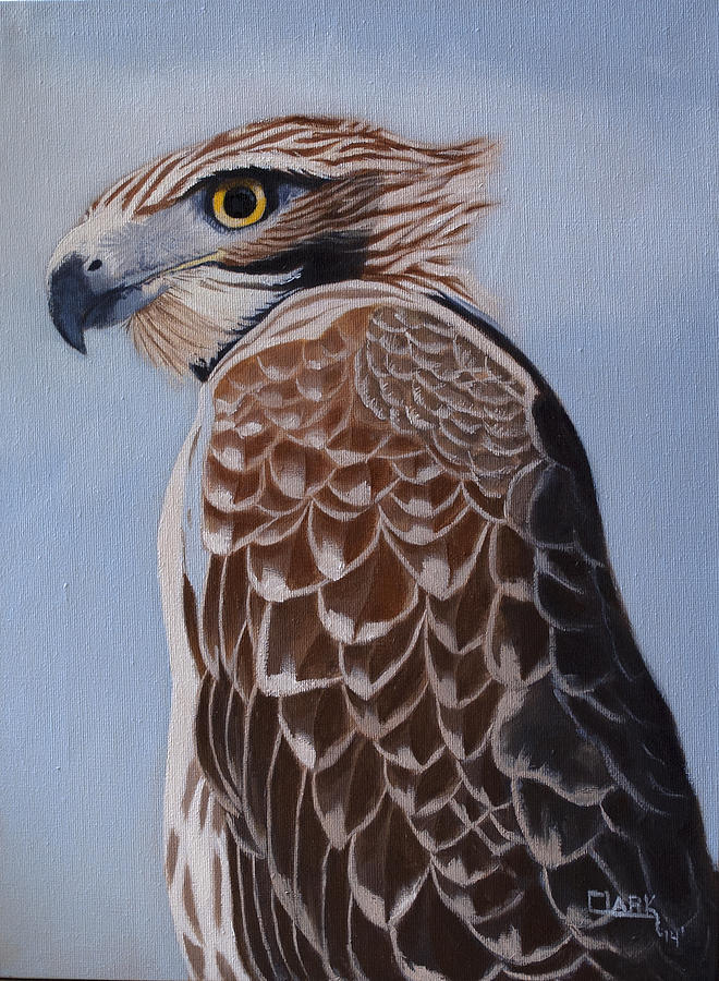 Redtail portrait Painting by Wade Clark