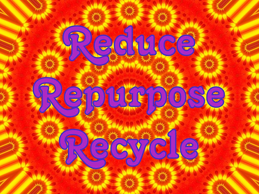 Reduce Repurpose Recycle 1 Photograph by Sheri McLeroy