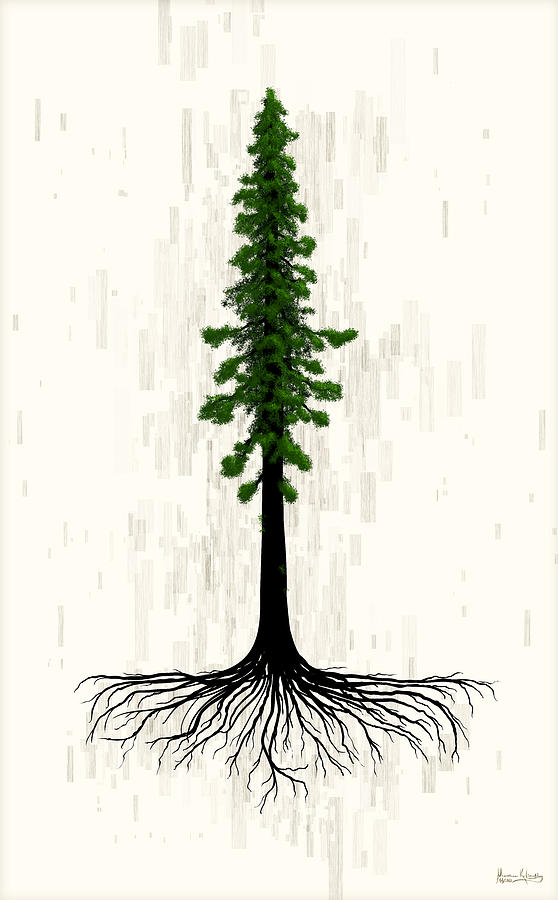 Redwood Digital Art by Matthew Lindley