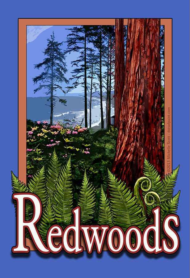 Tree Digital Art - Redwoods in California by Michelle Scott
