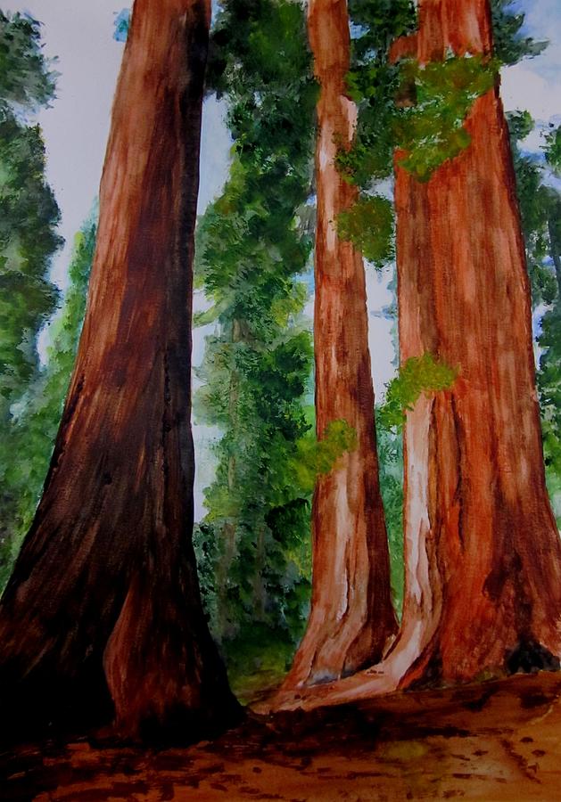Redwoods in Yosemite Painting by Maris Sherwood