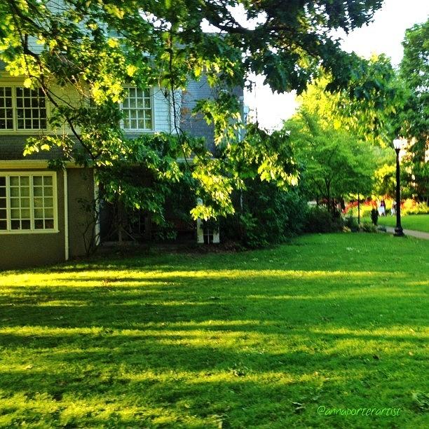 Architecture Photograph - Reed College Campus Evening Light by Anna Porter
