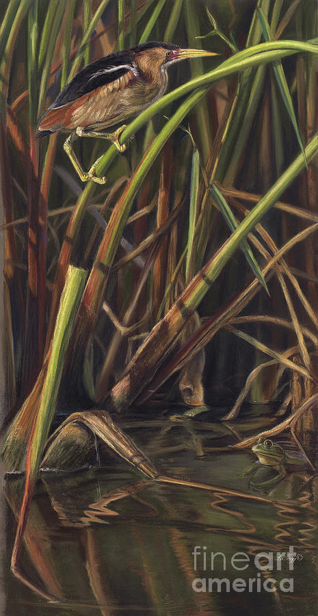 Wildlife Painting - Reed Walker by Deb LaFogg-Docherty