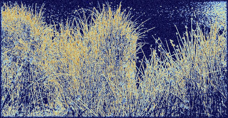 Reeds Along The Shore Digital Art by Will Borden