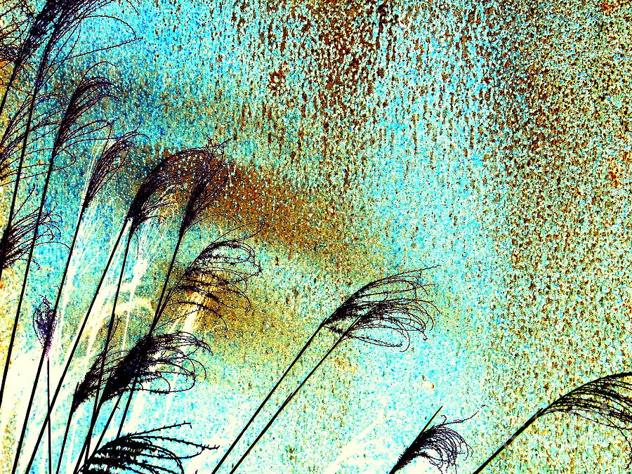 Reeds And Rust Reverse Photograph by Ed Weidman - Fine Art America