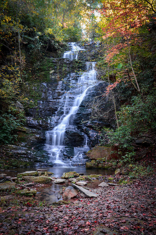 Reedy Branch Falls Photograph by Mary Timman